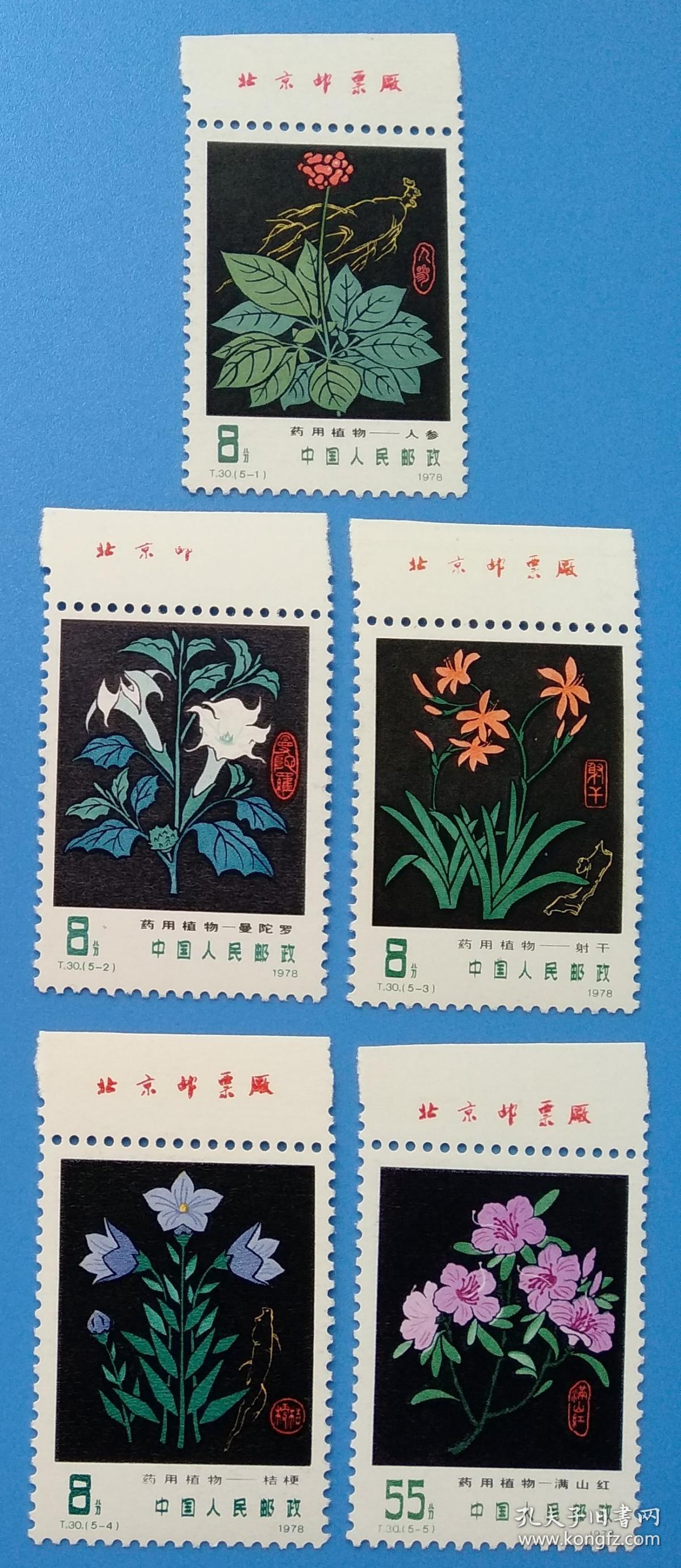 t30药用植物特种邮票