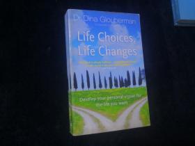 Life Choices . Life Changes：Develop Your Personal Vision for the Life You Wan【英文原版书】32K