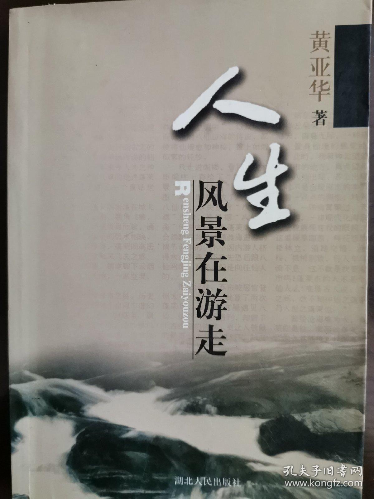 人生风景在游走