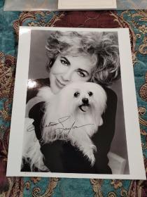 【签名照】已故著名演员 伊丽莎白泰勒 亲笔签名大尺寸黑白老照片， 约20厘米×25厘米