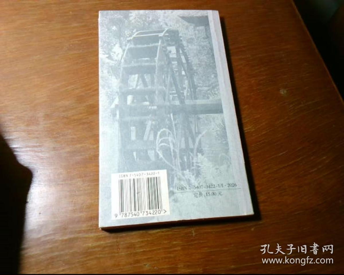 水街(放在下面)_唐柳林 著_孔夫子旧书网