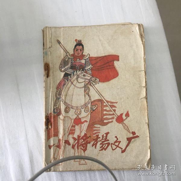 小将杨文广