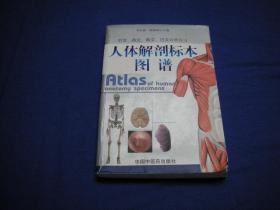 人体解剖标本图谱    中英韩日四种文字对照标注，全彩32开本