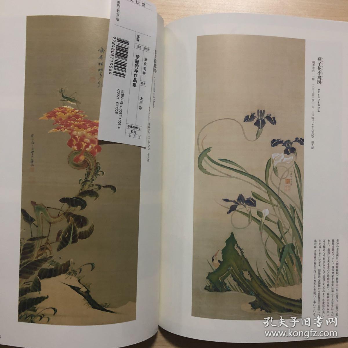 现货 伊藤若冲作品集 日本狩野派绘画大师 日文原版艺术图书