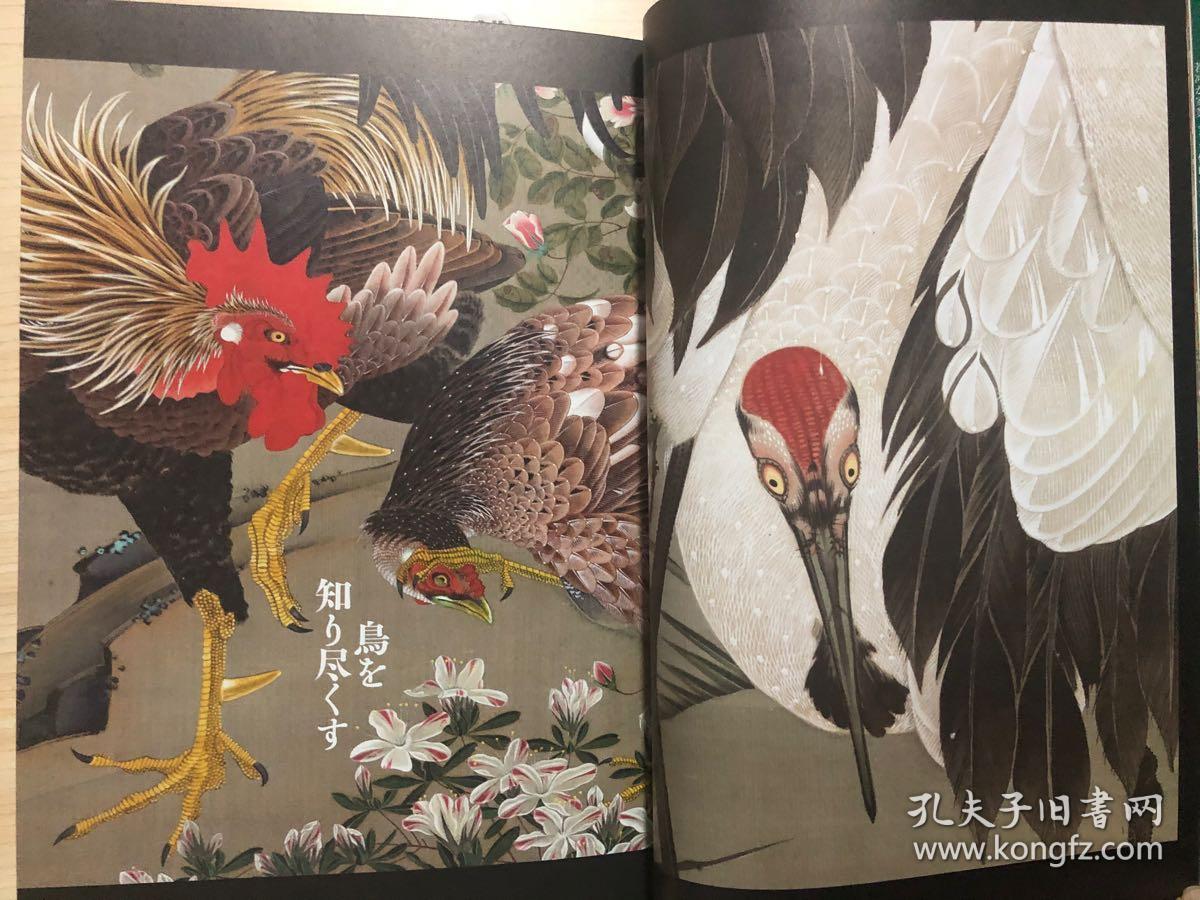 现货 伊藤若冲作品集 日本狩野派绘画大师 日文原版艺术图书