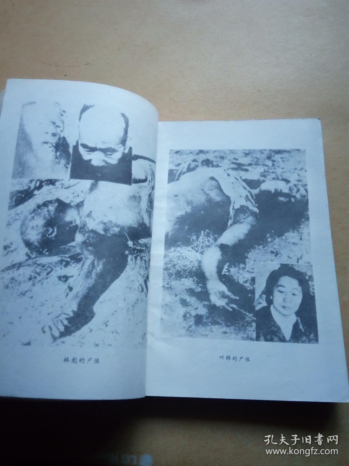 叶群野史_孔夫子旧书网