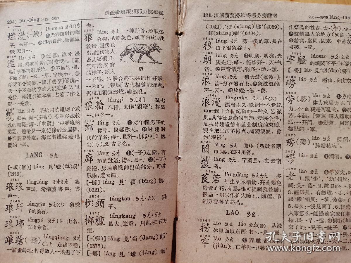 新华字典-汉语拼音字母音序排列