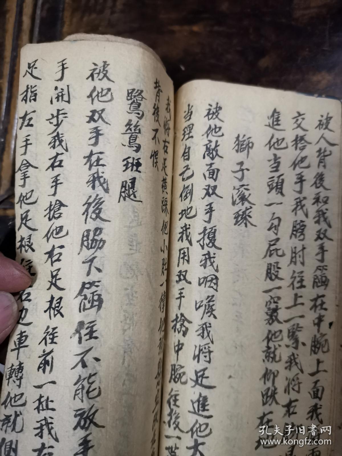 陈文标师傅秘传少林武功秘籍,沾衣十八跌,[强]