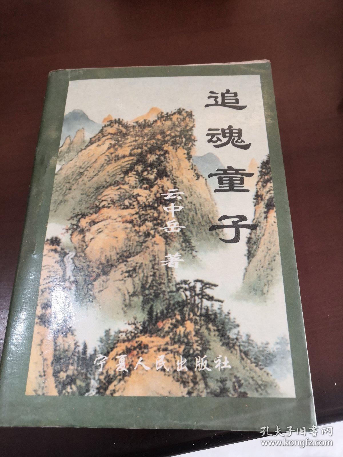 云中岳作品集 追魂童子