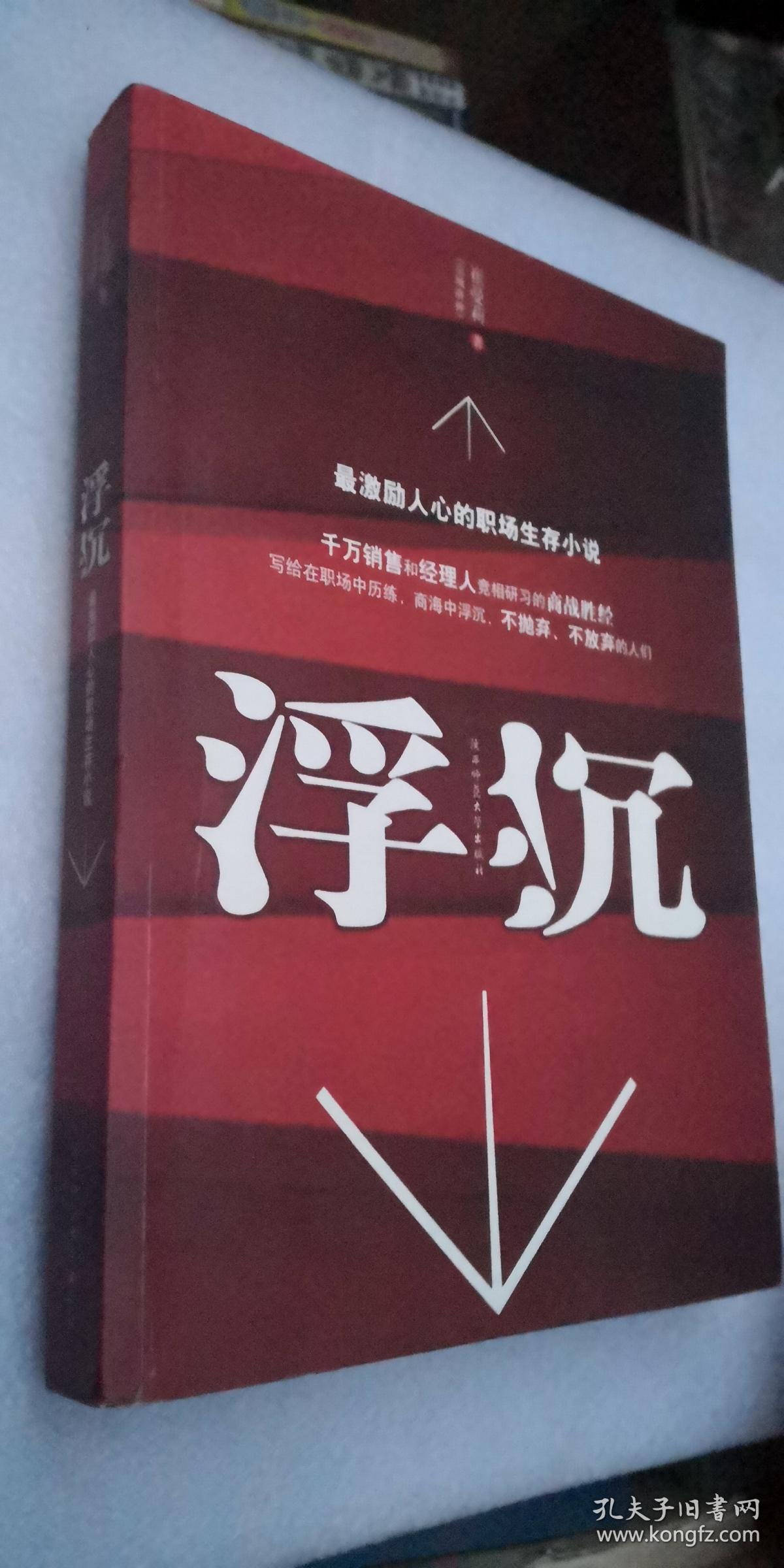 浮沉:最激励人心的职场生存小说