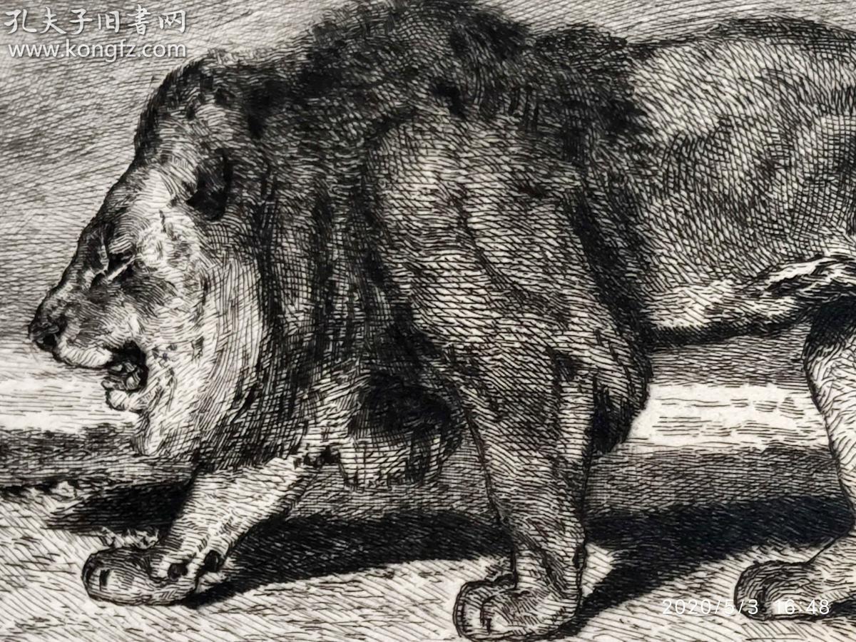 大英博物馆藏画1877年法国蚀刻铜版画独行的雄狮法国画家安托万路易