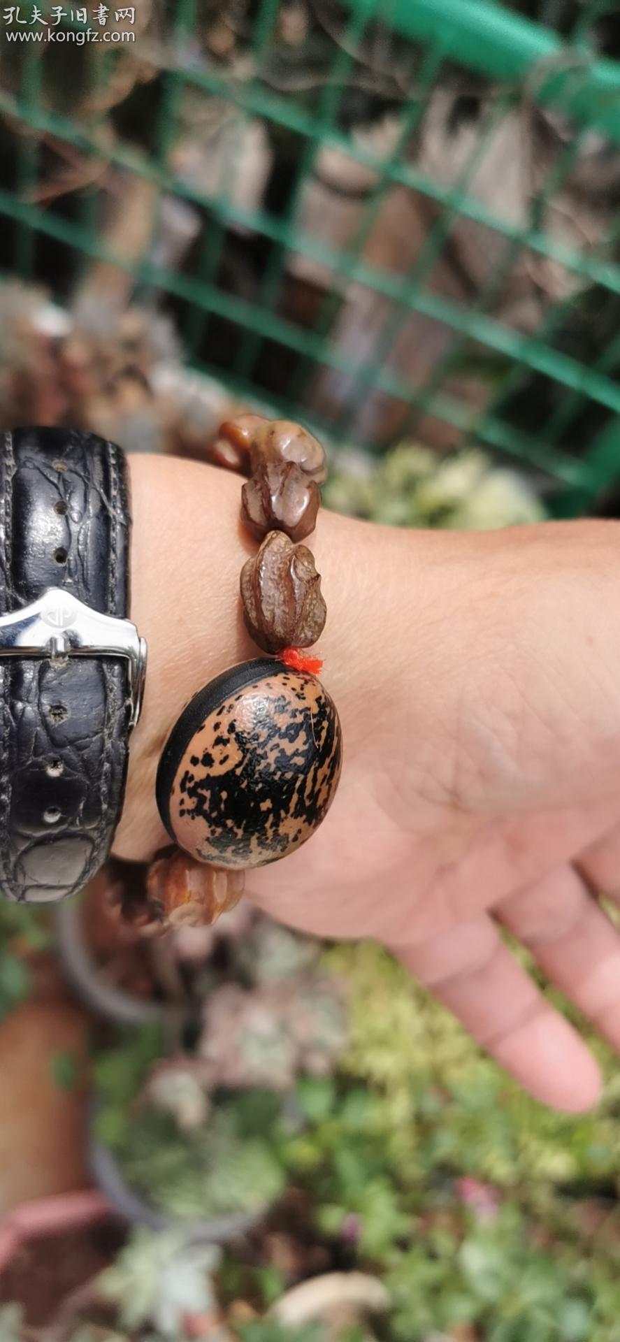 稀罕的铁树籽菩提子手串