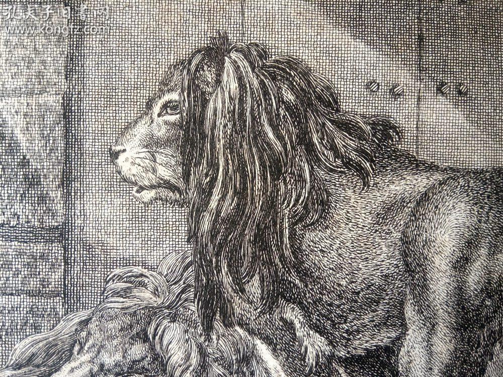 1740年铜版画《巴比伦雄狮》(alte lowen)-- 出自18世纪德国著名动物