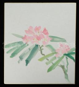 【日本回流】原装精美卡纸 佚名 水墨花卉一件（纸本镜心）HXTX181257