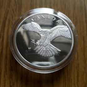 加拿大白头海雕镀银纪念币