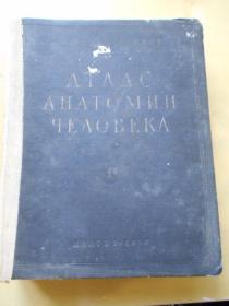 1952年【外文版，医学解剖书】图文并茂，精装本