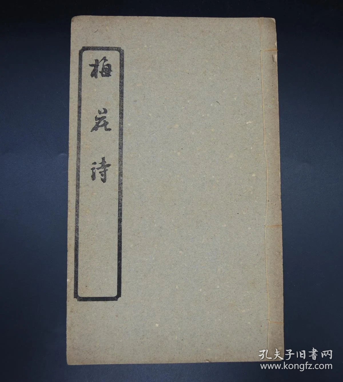 0237e62c8a2391fe5d_b.jpg