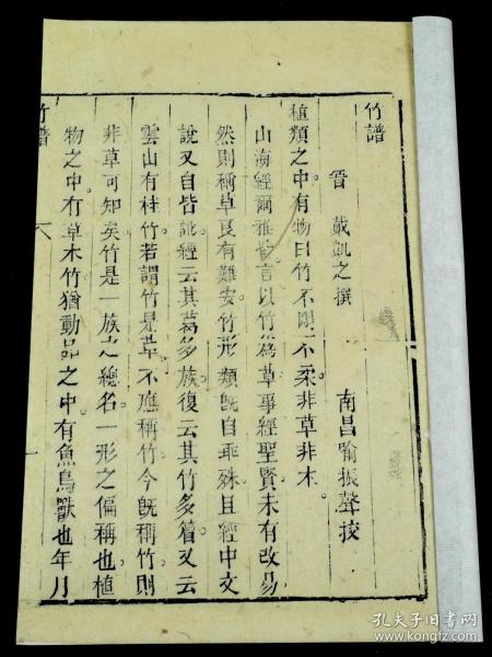 竹子简谱画_竹子画(2)