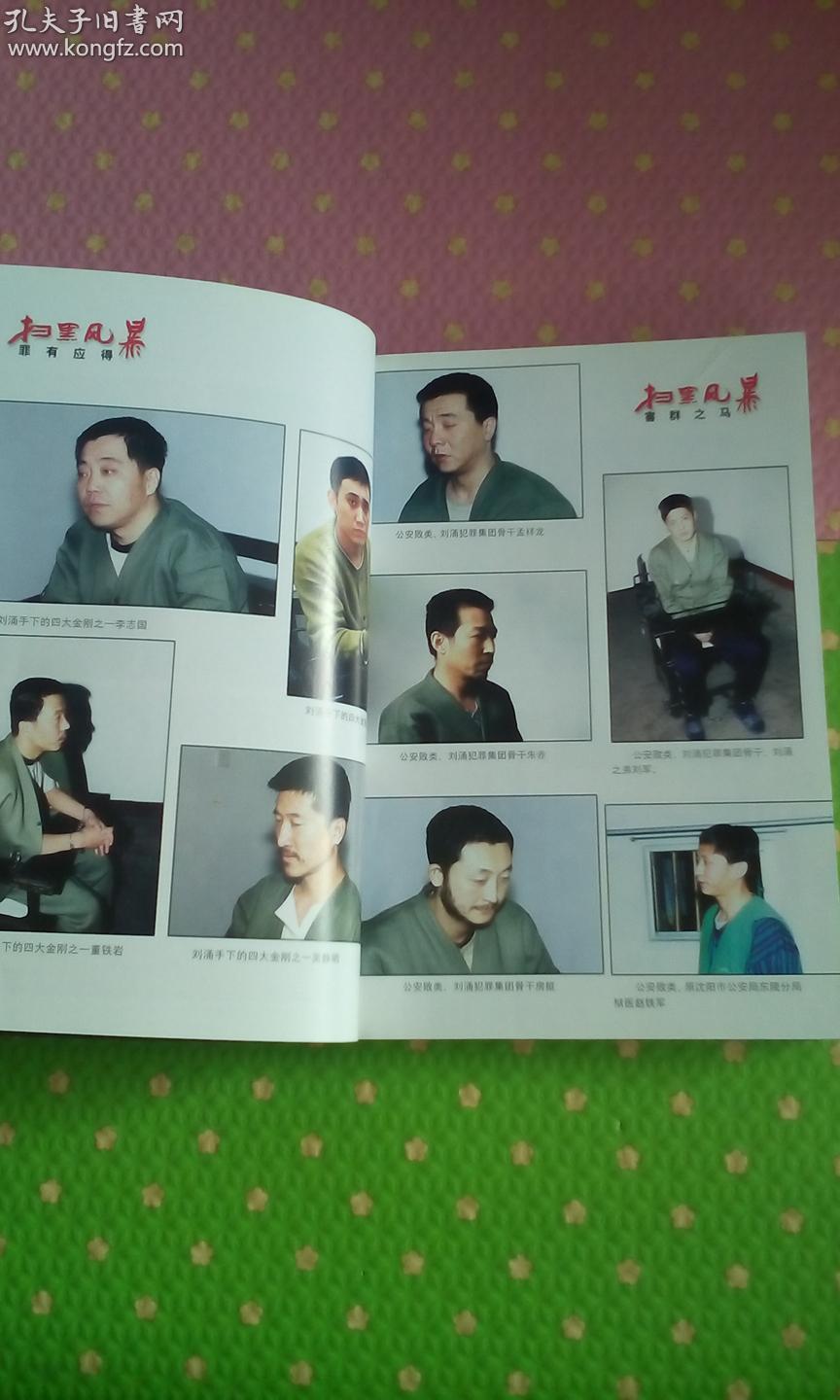 扫黑风暴(沈阳刘涌黑恶势力覆灭始末)--- ,32开