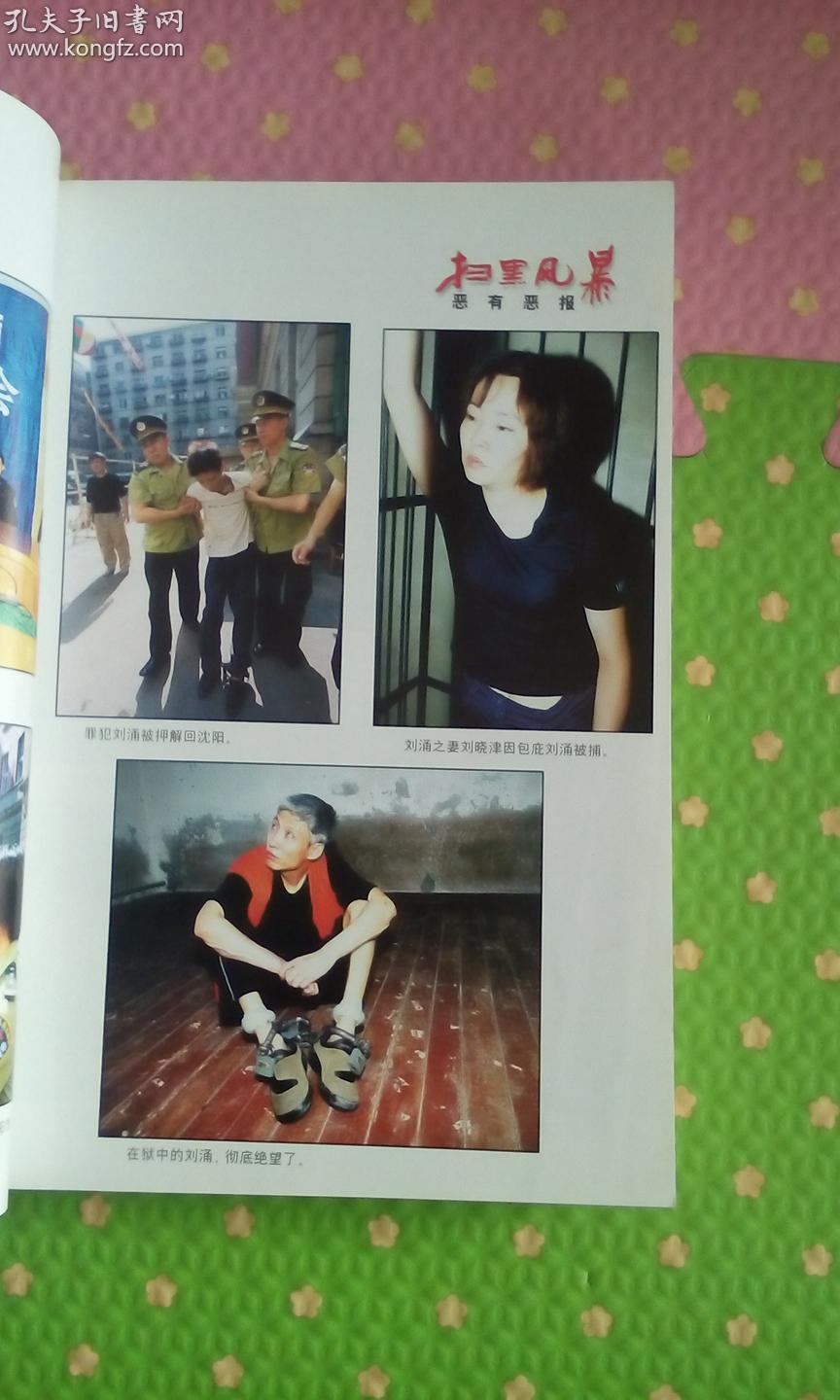 扫黑风暴(沈阳刘涌黑恶势力覆灭始末)--- ,32开