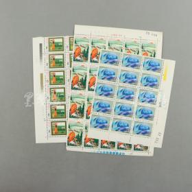 80年代 J 、T字头散票 三张共65枚：含J119八分邮票30方连、J163四十分邮票15方连、T27八分邮票20方连 HXTX309618