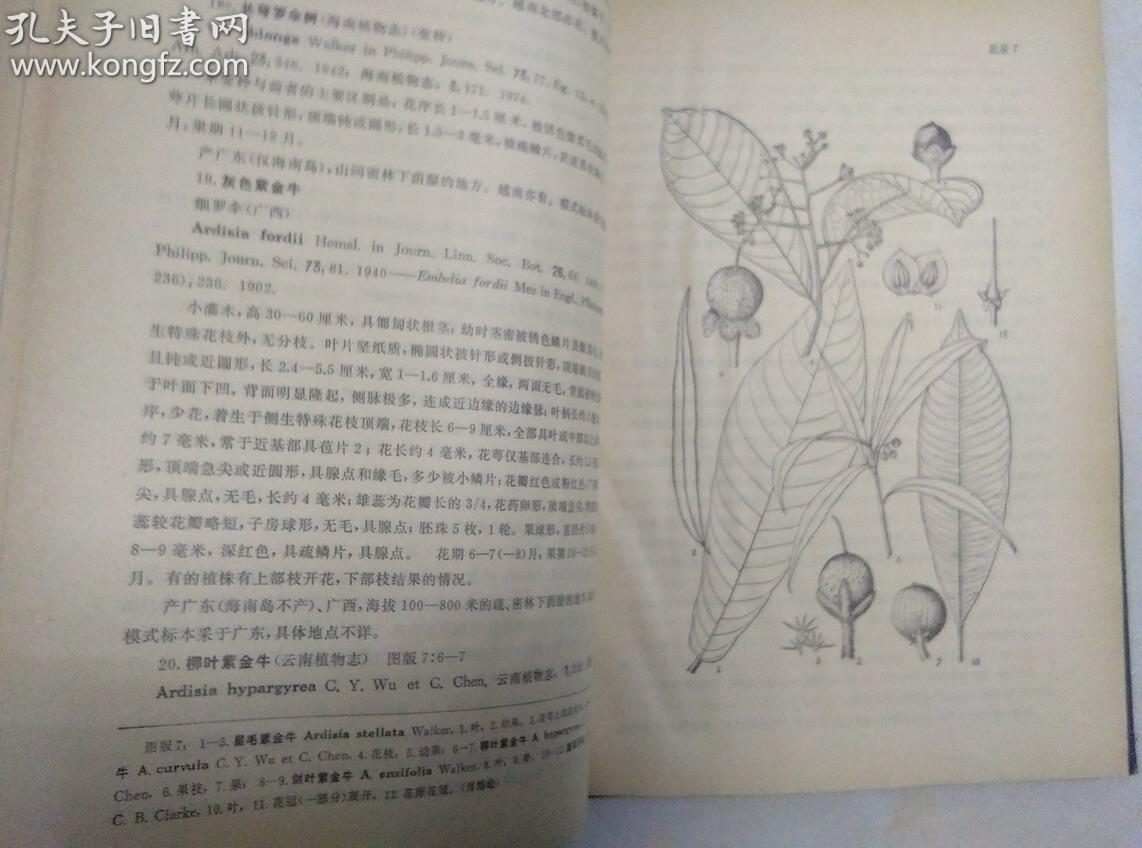 中国植物志第18卷